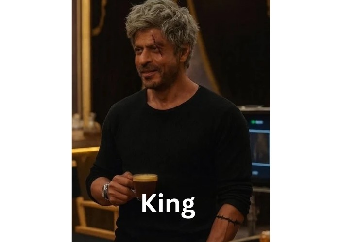 २०२६ मधील टॉप ५ आगामी बॉलीवूड चित्रपट - किंग 